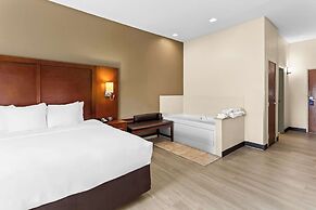Comfort Suites Grayslake near Libertyville North