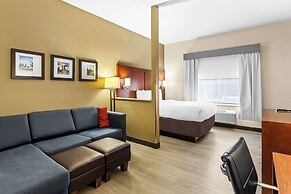 Comfort Suites Grayslake near Libertyville North