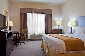 Holiday Inn Express & Suites Chicago West - O'Hare Arpt Area by IHG