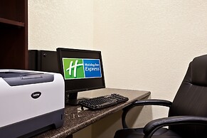Holiday Inn Express & Suites Chicago West - O'Hare Arpt Area by IHG