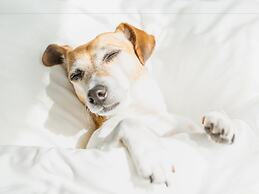 WoodSpring Suites Asheville - Biltmore West