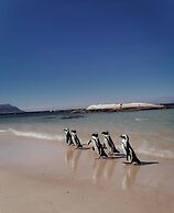 Chartfield Guesthouse