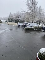 ASURE Hanmer Inn Motel