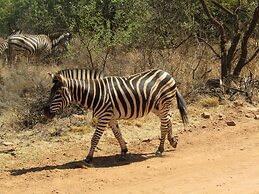 Zebra Nature Reserve