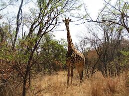 Zebra Nature Reserve