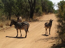 Zebra Nature Reserve