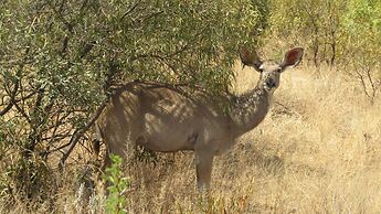 Zebra Nature Reserve