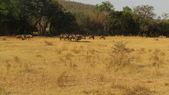 Zebra Nature Reserve