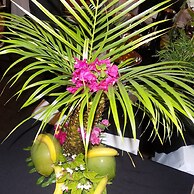 The Caribbean Court Boutique Hotel