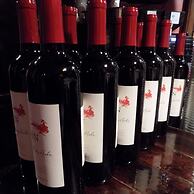 The Caribbean Court Boutique Hotel