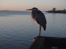 The Caribbean Court Boutique Hotel