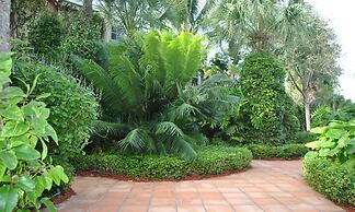 The Caribbean Court Boutique Hotel