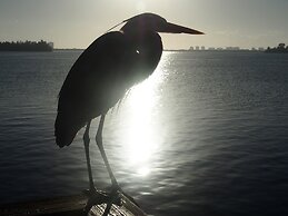 The Caribbean Court Boutique Hotel