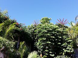 The Caribbean Court Boutique Hotel