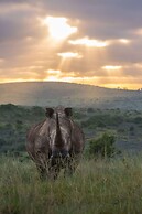 Shamwari Long Lee Manor