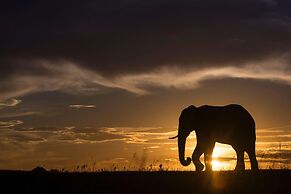 Shamwari Long Lee Manor