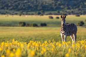 Shamwari Long Lee Manor