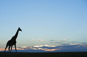 Shamwari Long Lee Manor