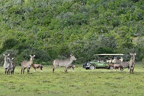 Shamwari Long Lee Manor