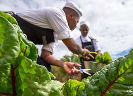 Shamwari Long Lee Manor