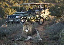 Shamwari Long Lee Manor