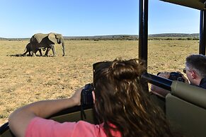 Shamwari Long Lee Manor