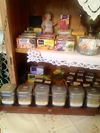 Kurvilla Fürstin Pauline