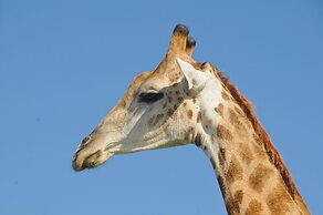 Oceana Beach and Wildlife Reserve