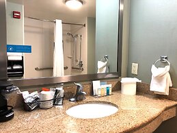 Hampton Inn & Suites Detroit-Canton