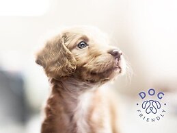 Gamma Guaymas Armida Hotel