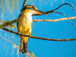 Matangi Private Island Resort