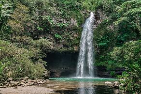 Matangi Private Island Resort