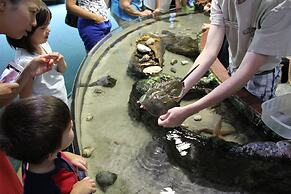 The Lodge at Kiln Creek Resort