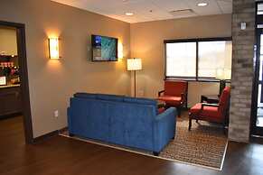 Comfort Inn and Suites Near Lake Guntersville