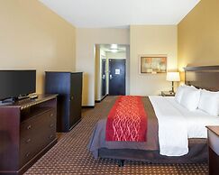 Comfort Inn & Suites Regional Medical Center