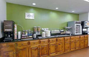 Sleep Inn & Suites near Fort Gregg-Adams