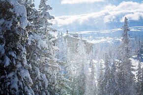 Copperhill Mountain Lodge