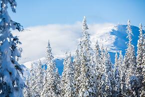 Copperhill Mountain Lodge