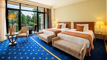 Georgia Palace Hotel & SPA