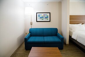 Holiday Inn Express & Suites Knoxville-Farragut by IHG
