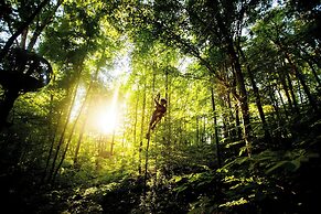 Holiday Inn Express & Suites Knoxville-Farragut by IHG