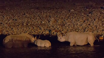 Eagle Tented Lodge & Spa Etosha