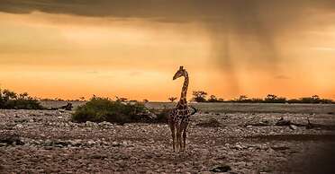 Eagle Tented Lodge & Spa Etosha