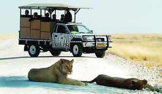 Etosha Safari Lodge
