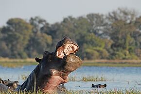 Divava Okavango Resort & Spa