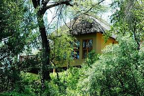 Divava Okavango Resort & Spa