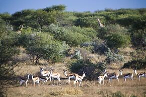 GocheGanas Nature Reserve & Wellness Spa