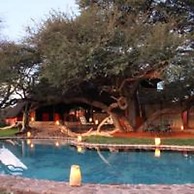 Camelthorn Kalahari Lodge