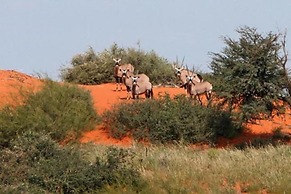 Camelthorn Kalahari Lodge