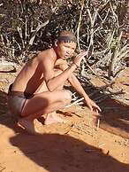 Camelthorn Kalahari Lodge